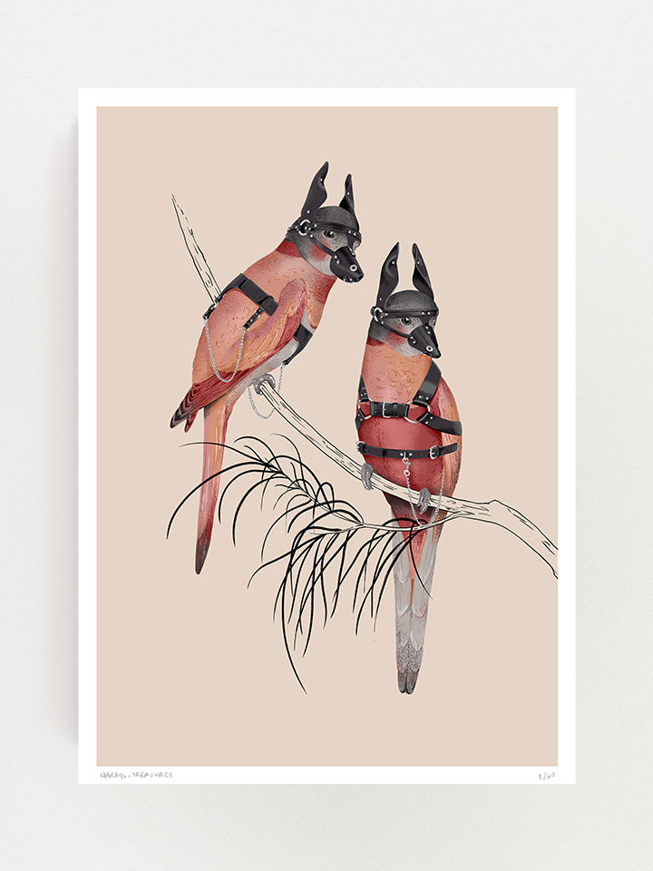 Illustration of two parrots standing on a branch on top of beige background; the parrots have BDS doge masks on their heads, and they are wearing harnesses -Art by useless treasures.