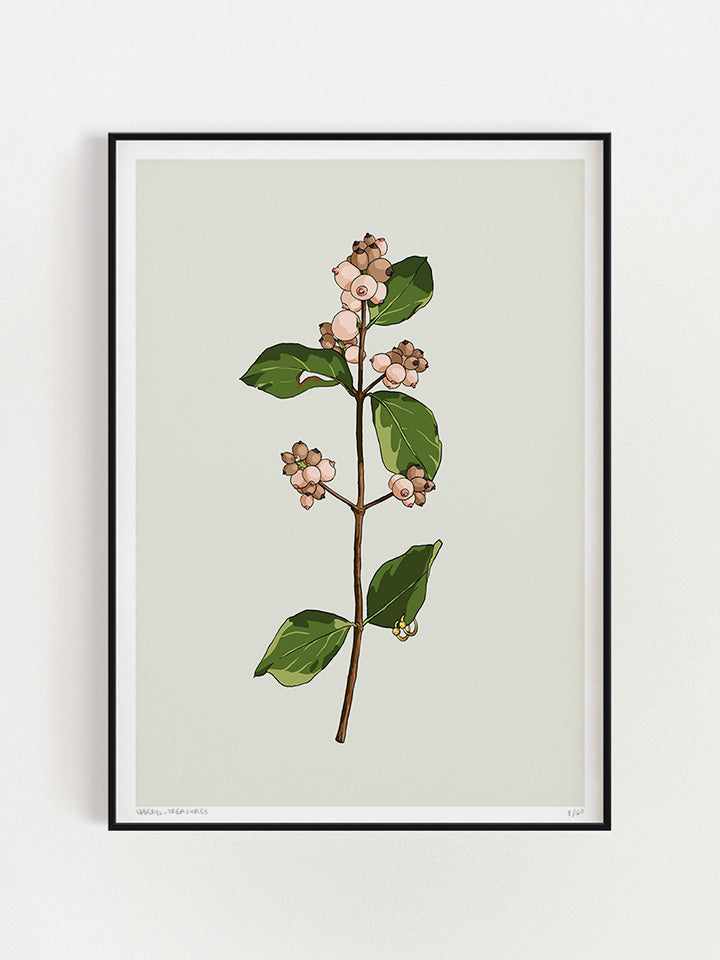 Pick me - Print wall art painting by Berlin-based artist Useless Treasures. Vintage-inspired botanical illustration of a  flower shaped like boobs or a woman's breasts with leaves and piercings. 