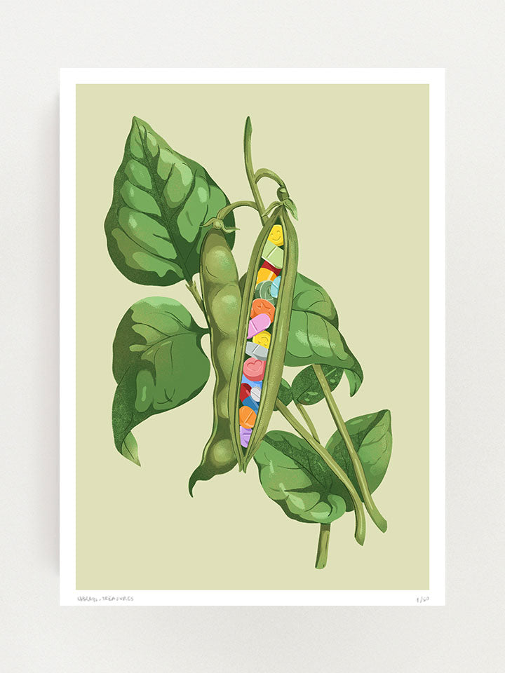 magic baens - Print wall art painting by Berlin based artist Useless Treasures. Vintage-inspired botanical illustration of a bean pod filled with colorful pills on a light green background. 