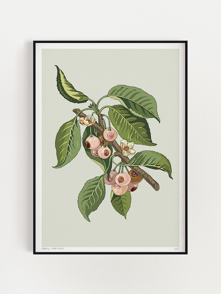 An Illustration of a tree branch with leaves that the fruits that are hanging from it look like boobs, on top of beige background  - Art by useless treasures  
