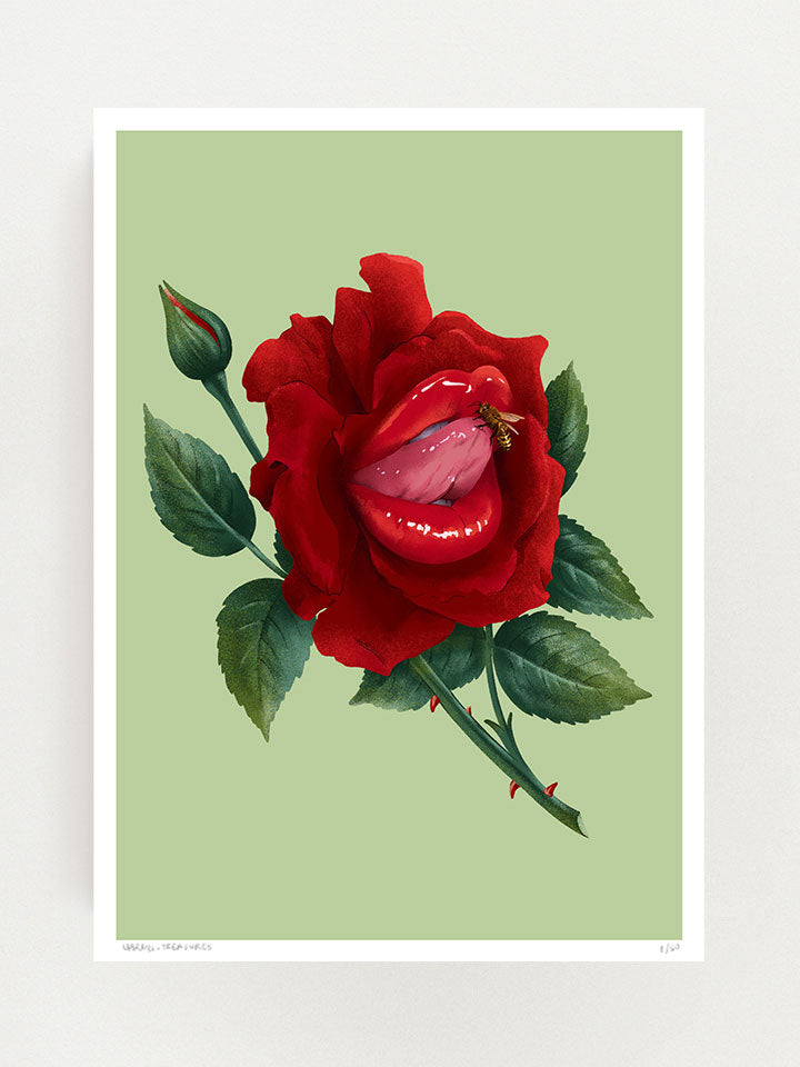 Buzz - Print original wall art painting by Berlin-based artist Useless Treasures. Vintage-inspired botanical illustration of a beautiful red ross with large lips with the tongue out and bee on it. 