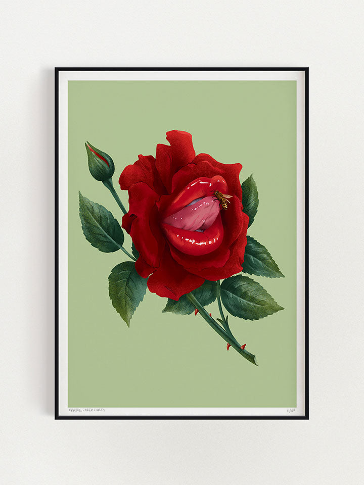 Illustration of a red rose with big red lips and a tongue popping out, almost touching a bee that flying by, on top of light green background - art by useless treasures.